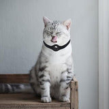AirTag | Apple AirTag 1/2 silikonhalsband för hund och katt - Svart - DELUXECOVERS.SE